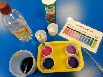 cups of coloured liquid and a pH scale