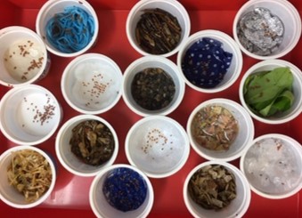 top down view of 15 cups containing a variety of seeds